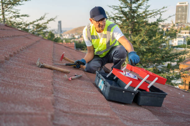 Best Yard Waste Removal  in Douglas, AL
